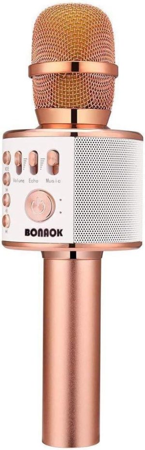 We Put the BONAOK Karaoke Mic Through Its Paces
